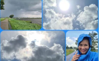 Hartje zomer met een ‘vleug(je)’ herfst